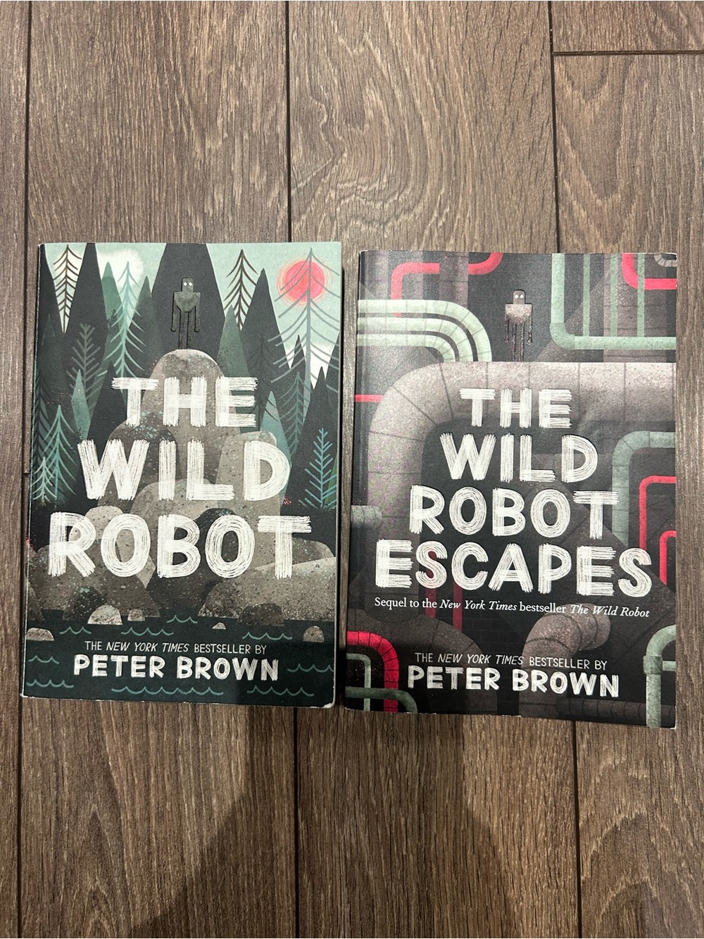 Scholastic The Wild Robot & The Wild Robot Escapes – Green and Gray Covers